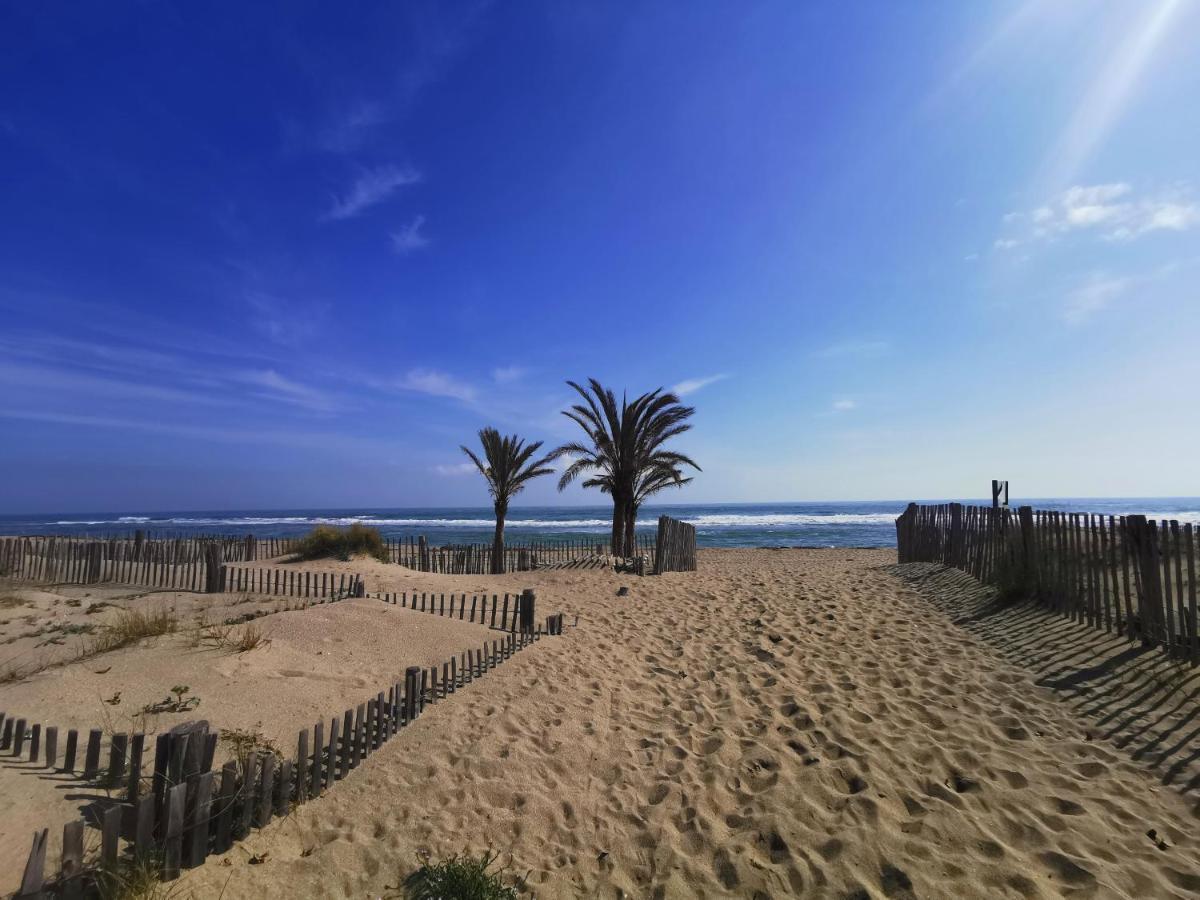 Soleil Levant 2 - En Bord De Mer - Superbe Appartement Cosy - Acces Direct Plage - Proche Commerces Et Animations Le Barcares Bagian luar foto